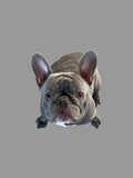 Grey Hoodie with French Bulldog